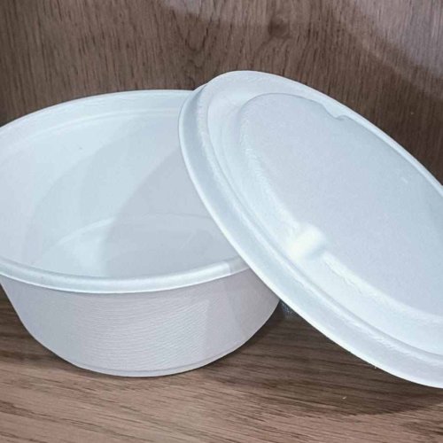 White Sugarcane Bagasse Biodegradable Disposable Food Container