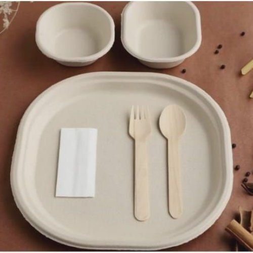 Sugarcane Bagasse Biodegradable Disposable Tableware