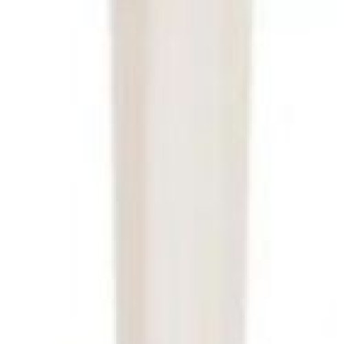Sugarcane Bagasse Biodegradable Disposable Fork