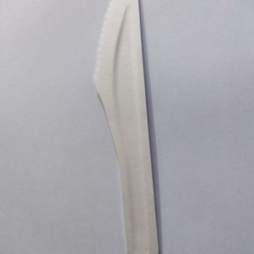 Sugarcane Bagasse Biodegradable Disposable Knife