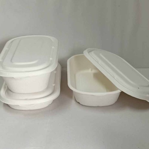 Oval Sugarcane Bagasse Biodegradable Disposable Food Container