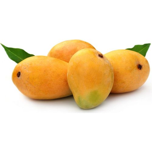 Fresh Mangoes