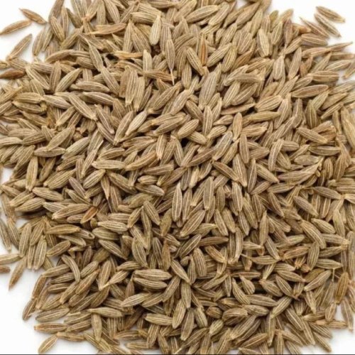 Europe 99 Cumin Seeds