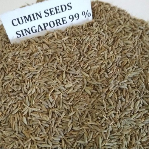 Singapore 99 Cumin Seeds