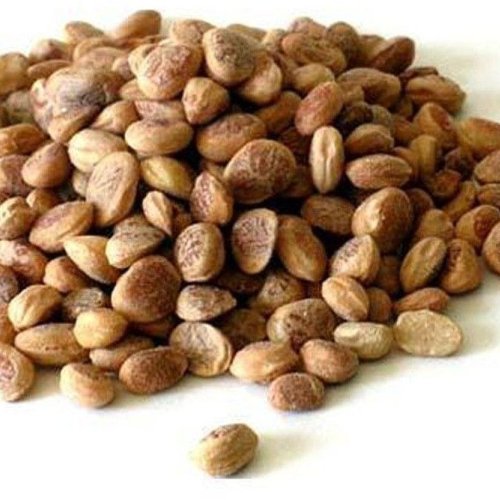 Charoli Chironji Seed