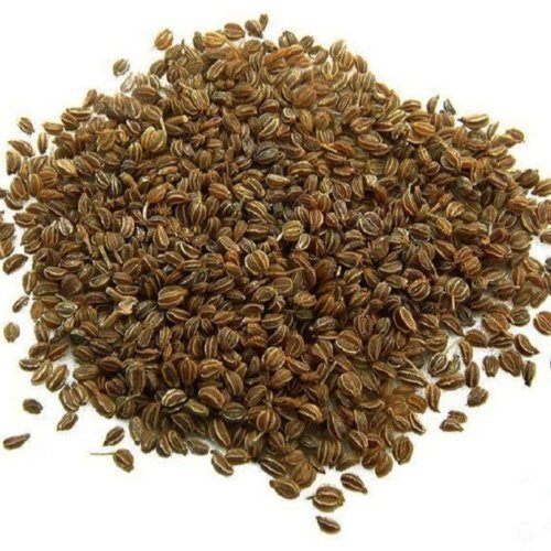 Green Dried Ajmoda Seeds