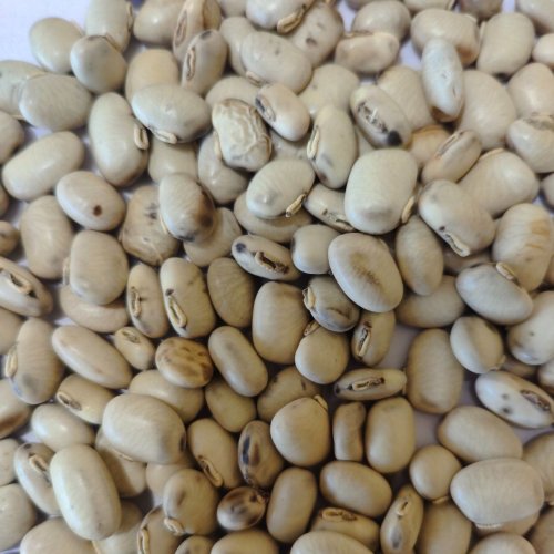 White Dried Kaunch Beej