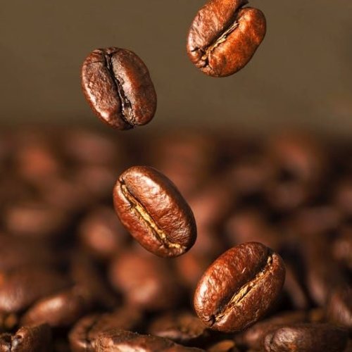 Arabica Coffee