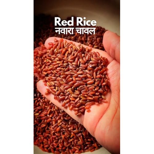 Navara Red Rice