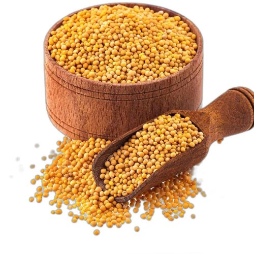 Yellow Mustard Seeds