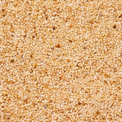 A Grade White Poppy Seed