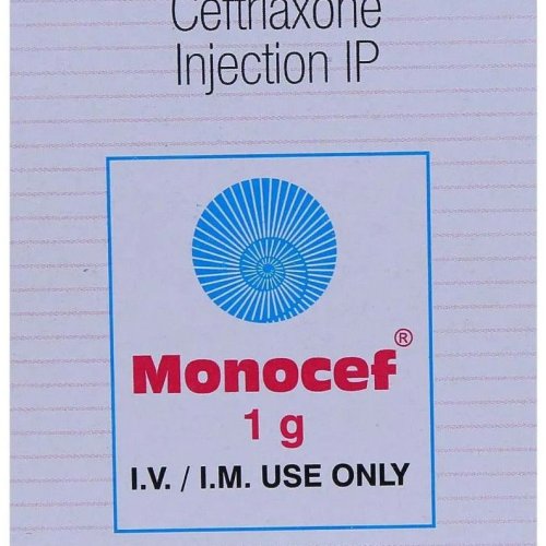 Monocef 1gm Injection