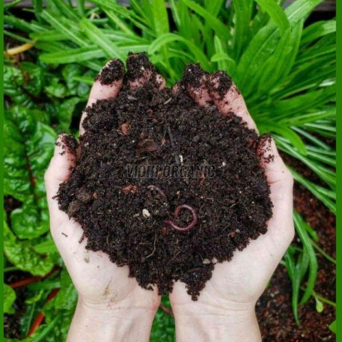 Natural Vermicompost Fertilizer