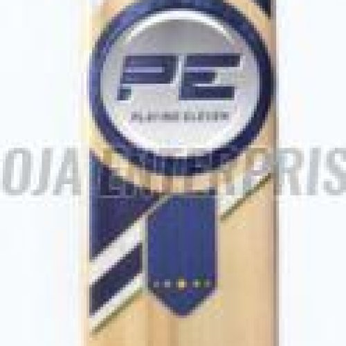 PE Storm Willow Cricket Bat
