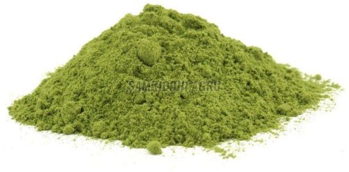 Pure Moringa Powder