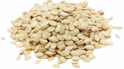 Watermelon Seeds