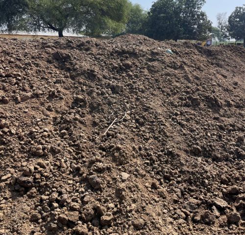 Cow Dung Manure