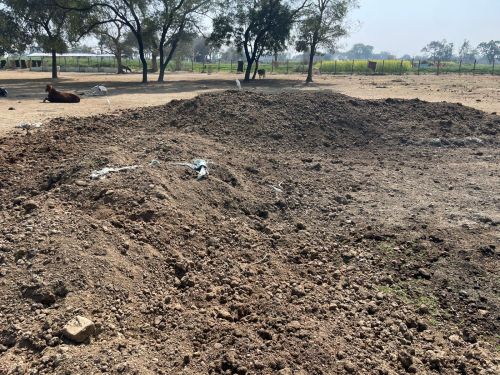 Organic Cow Dung Manure
