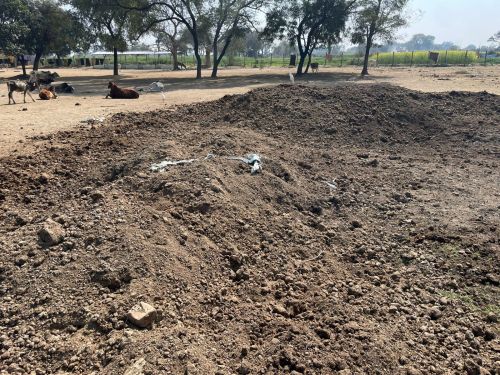 Brown Cow Dung Manure