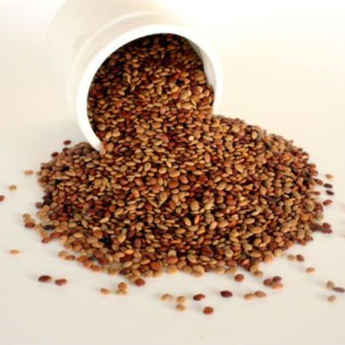 Organic Horse Gram
