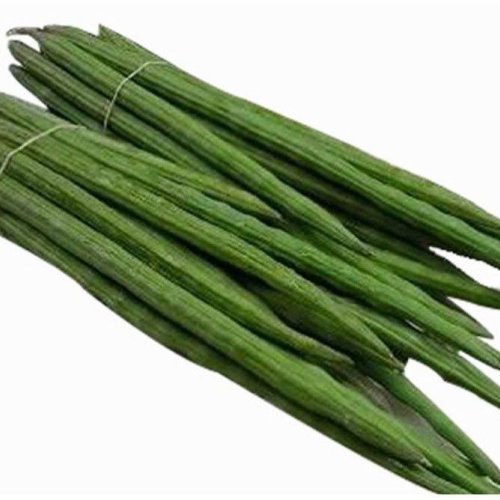 Fresh Green Drumstick
