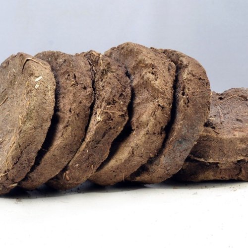 Round Cow Dung Cake
