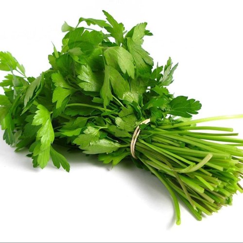 Fresh Coriander Leaves