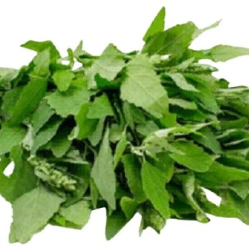 Fresh Green Bathua Leaves