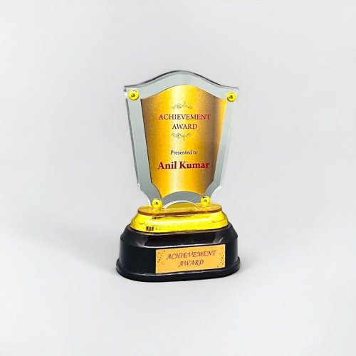 Acrylic Achievement Award Trophy
