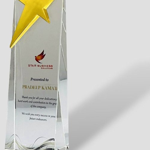 Acrylic Star Excellence Award Trophy