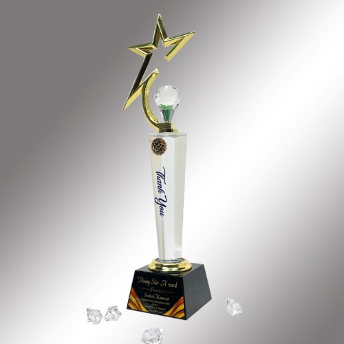 Crystal Rising Star Recognition Trophy
