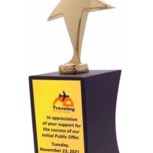 Custom Star Design Corporate Achievement Trophy