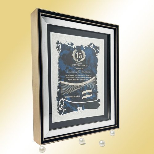 Distinguished Service Milestone Award Frame