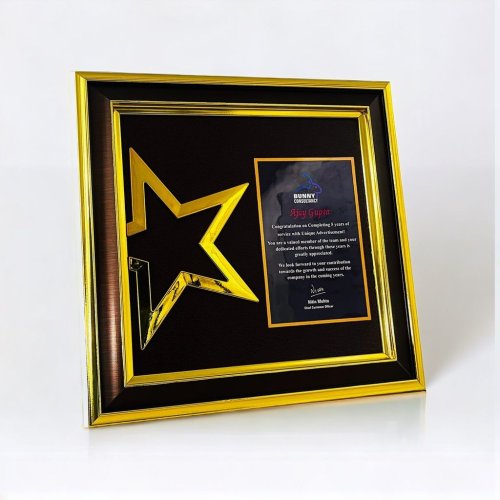 Golden Star Framed Service Appreciation Plaque