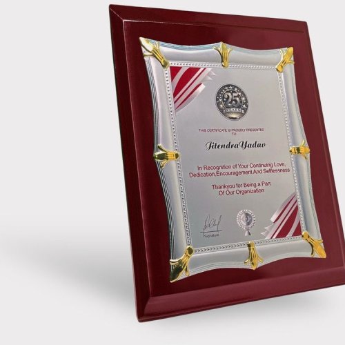 Pristine Silver Anniversary Recognition Plaque