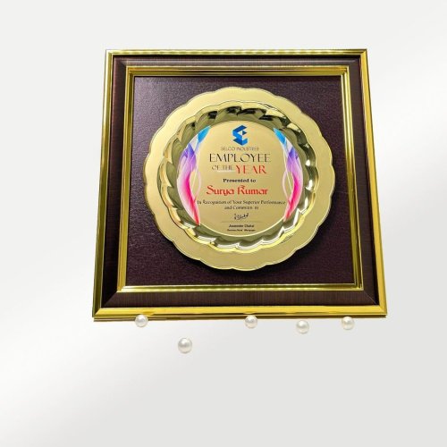 Royal Employee Excellence Award Frame