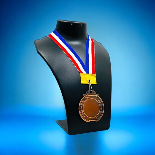 Shield Design Hanging Bronze Medal