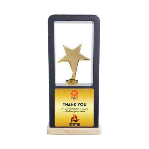 Star Frame Recognition Trophy