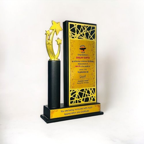 Star Panel Achievement Trophy