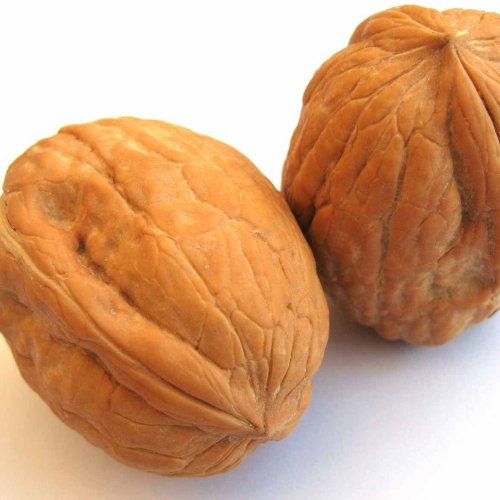 Brown Whole Walnut