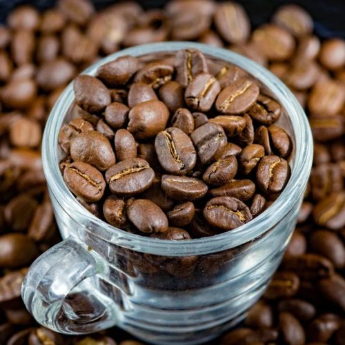 SC 1200 Robusta Coffee Beans
