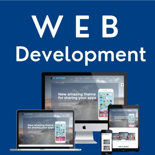 Website Development Service