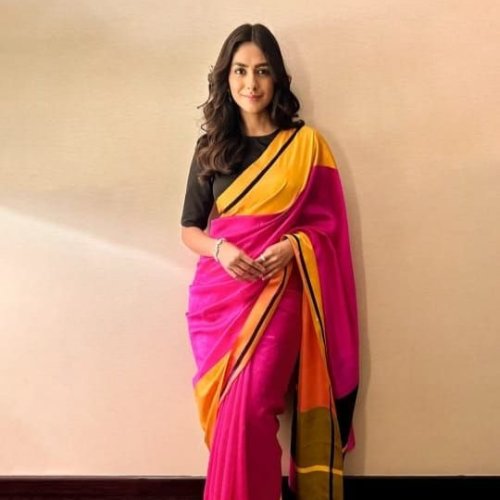 Pure Chanderi Mashroom Border Raw Mango Pattu Soft Silk Sarees