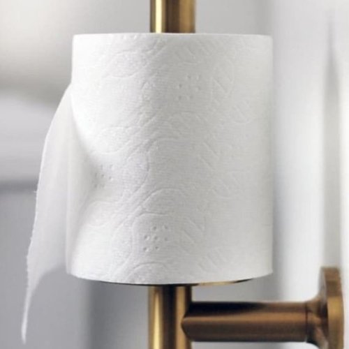 Toilet Paper Roll