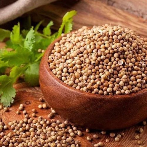 coriander seeds