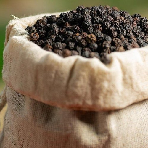 Natural Black Pepper Seeds