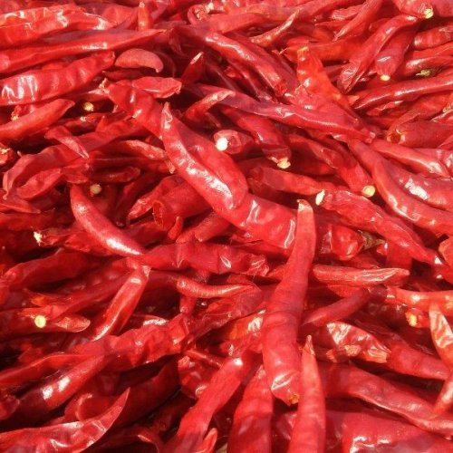 Premium Dried Red Chilli