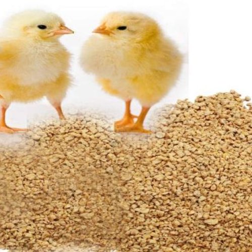 Poultry Chick Feed