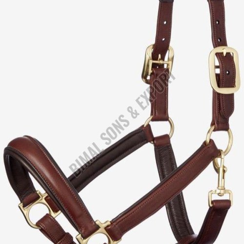 Brown Horse Anatomic Headcollar