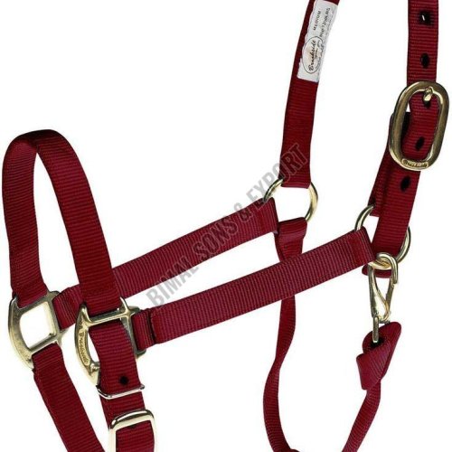 Personalized Horse Halters
